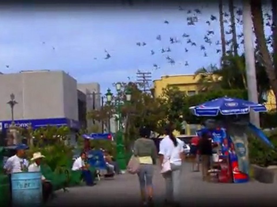 PROMO HISTORIAS SINALOA (DOCUMENTALES)