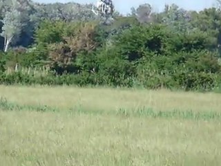 Traitement agricole par Hélico !!!