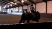 transitions galop / trot