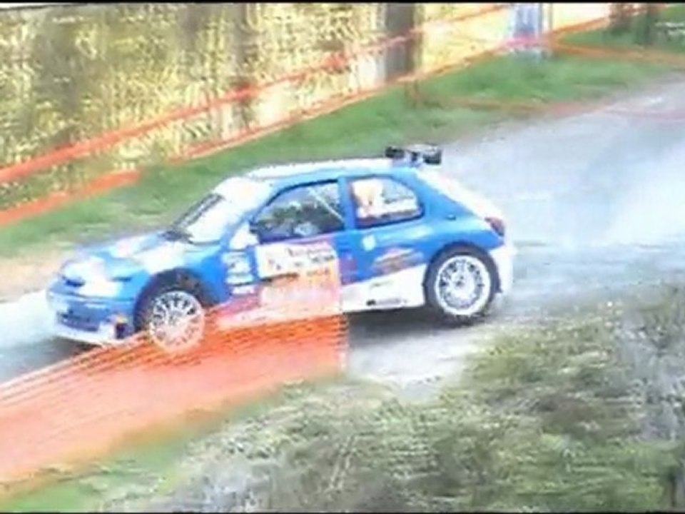 Rallye Lyon-Charbonnières 2011