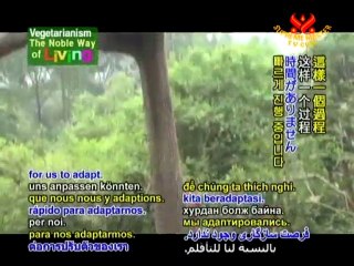 China's Giant Panda: Ambassador of Peace - P2/2