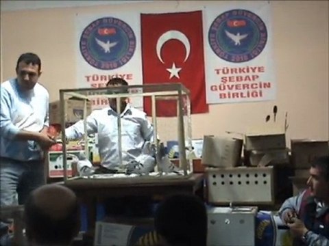 Çorum Şebab Güvercin Festivali 1.Bölüm
