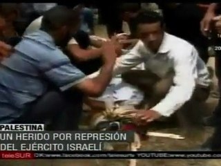 Enfrentamientos en Palestina