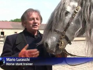 Los caballos del cine, unos animales de excepción