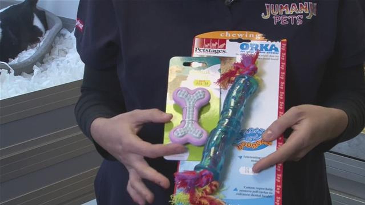 How To Train Puppies To Stop Biting