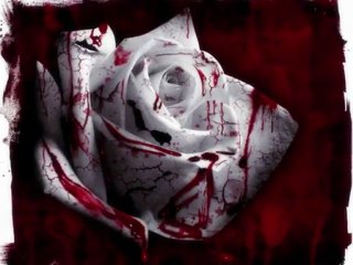 Elveda Zeynep - Hz. Hüseyin'e agit