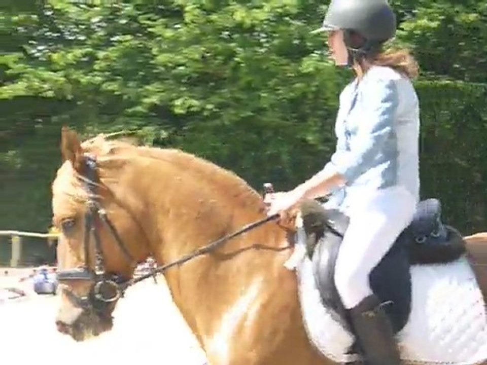 Parcours 40 cm: Estelle sur Oscar au Concours du Ry