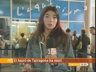 TV3 - Els matins - La mort del tauró a l'Aquàrium