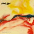 Black Lips - Arabia Mountain (2011) [320kbps] Mp3 Album Free Download