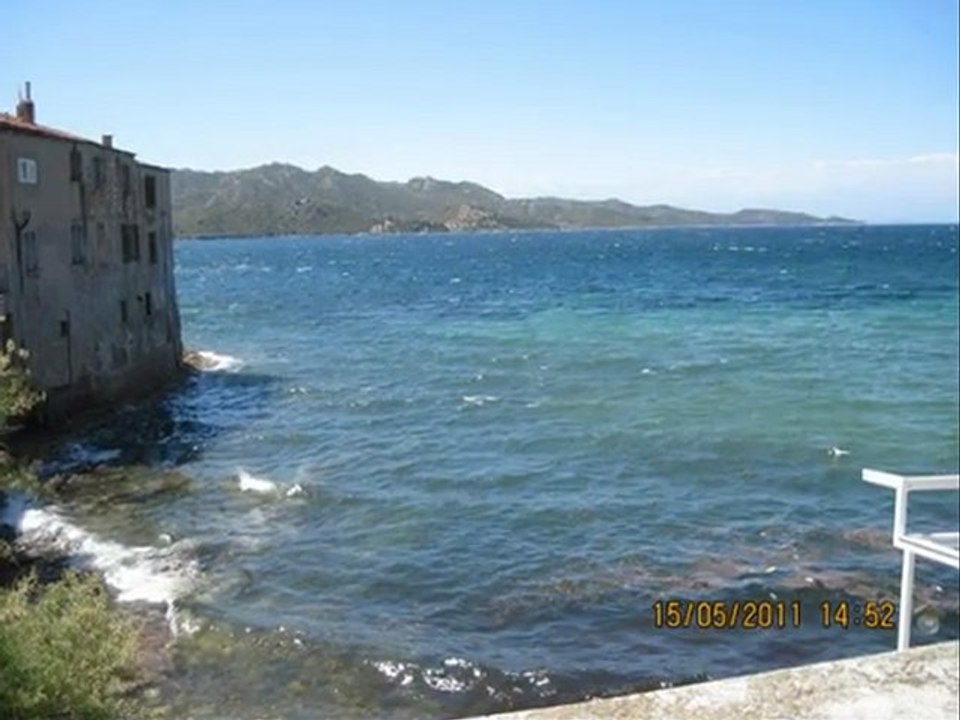 Corse