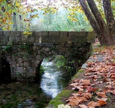 Octobre (Francis Cabrel)