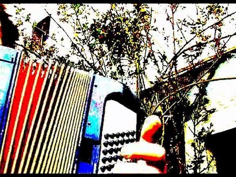 Le Gorille de Georges Brassens accompagnée à l'accordéon par Albaire68