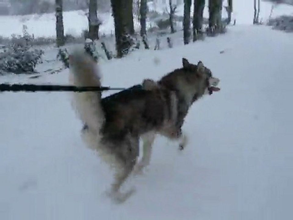 earl court dans la neige