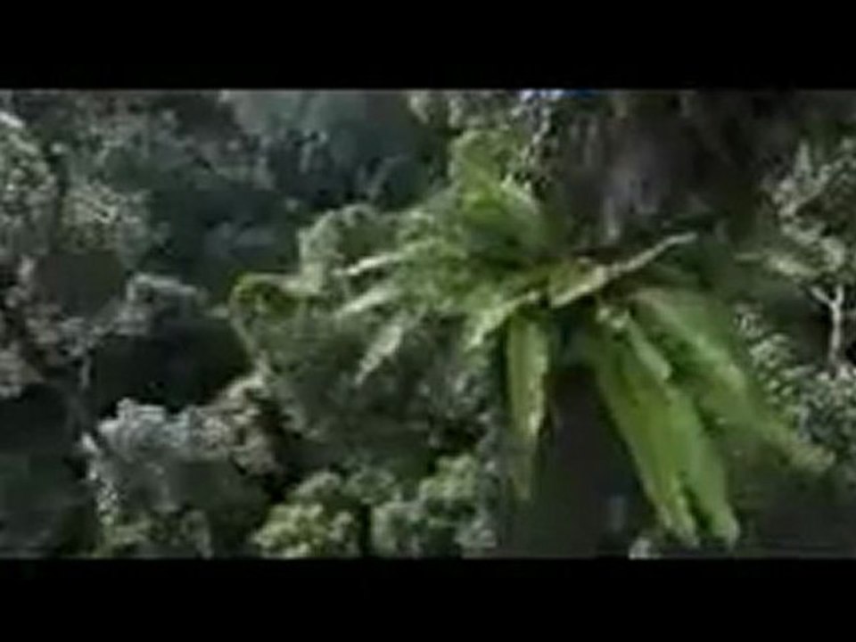 Adfaita-(Nasheed-by-Mishary-Al-Afasy)