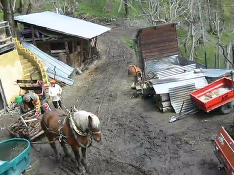 Test-du-traineau-à-roues-de débuscage-au-cheval-2