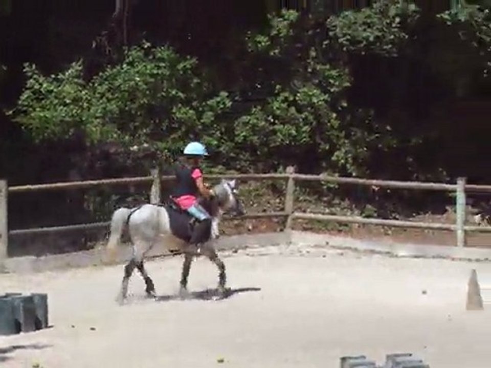 saut d'obstacle : du samedi 21 mai 2011
