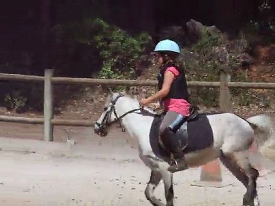 saut d'obstacle : du samedi 21 mai 2011