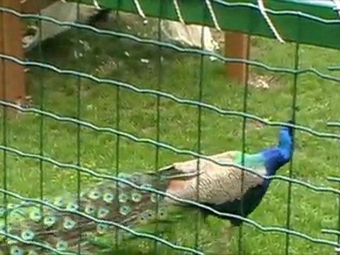 Park Alexandru Ioan Cuza - 21.Mai,2011.Part Two