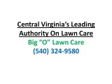 Lawn Care Company Staunton VA|Get Rid of Weeds Dandelions