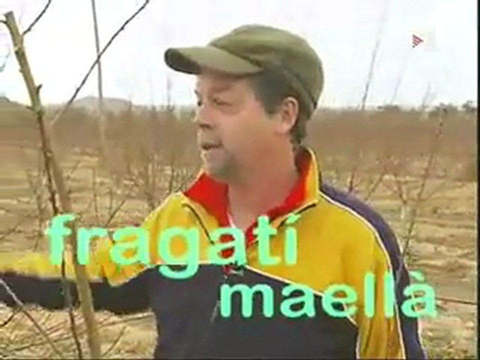 TV3 - Caçadors de paraules: catalans o aragonesos?