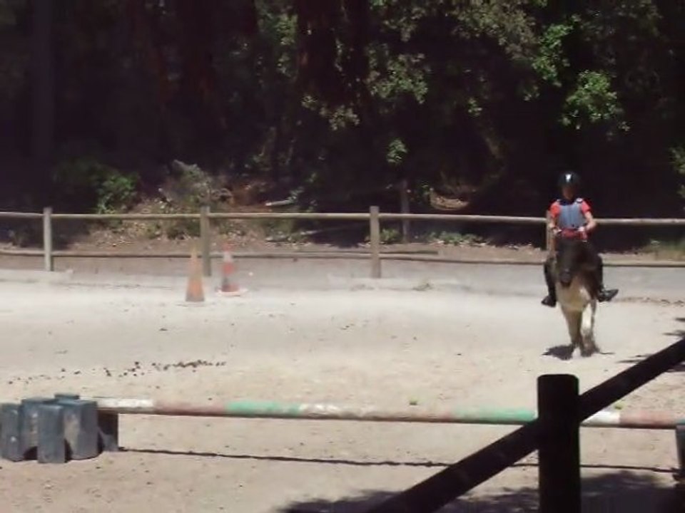 coralie et libéllule