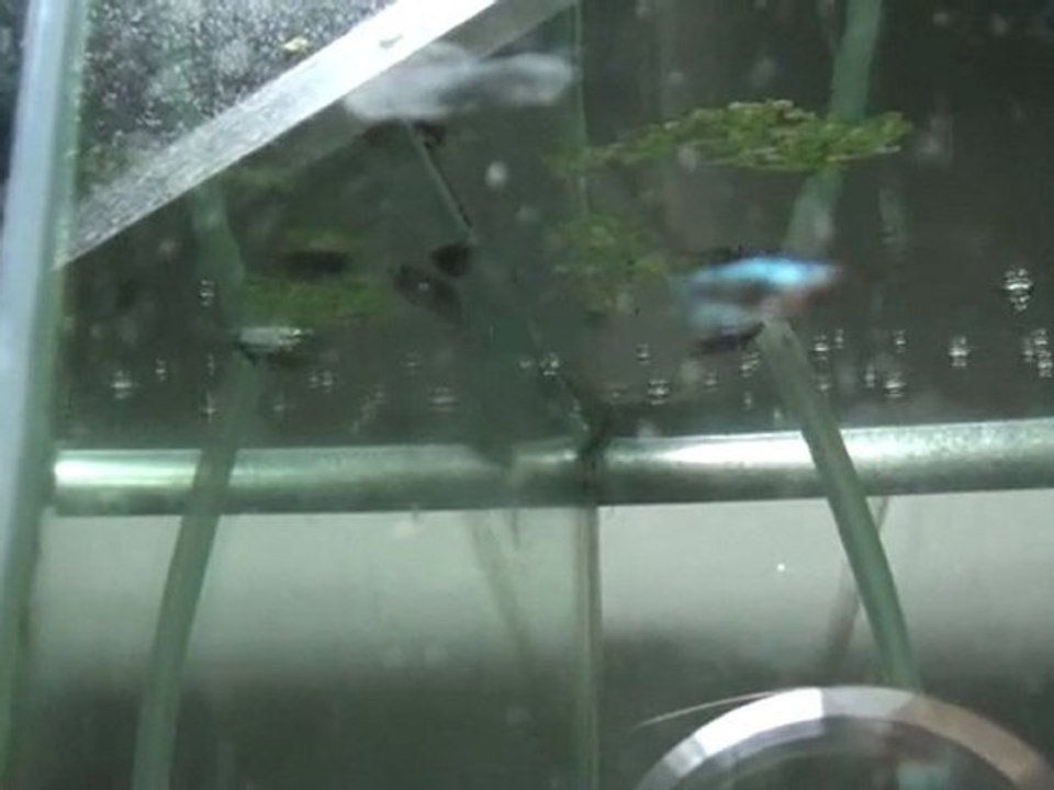 20110509174209
