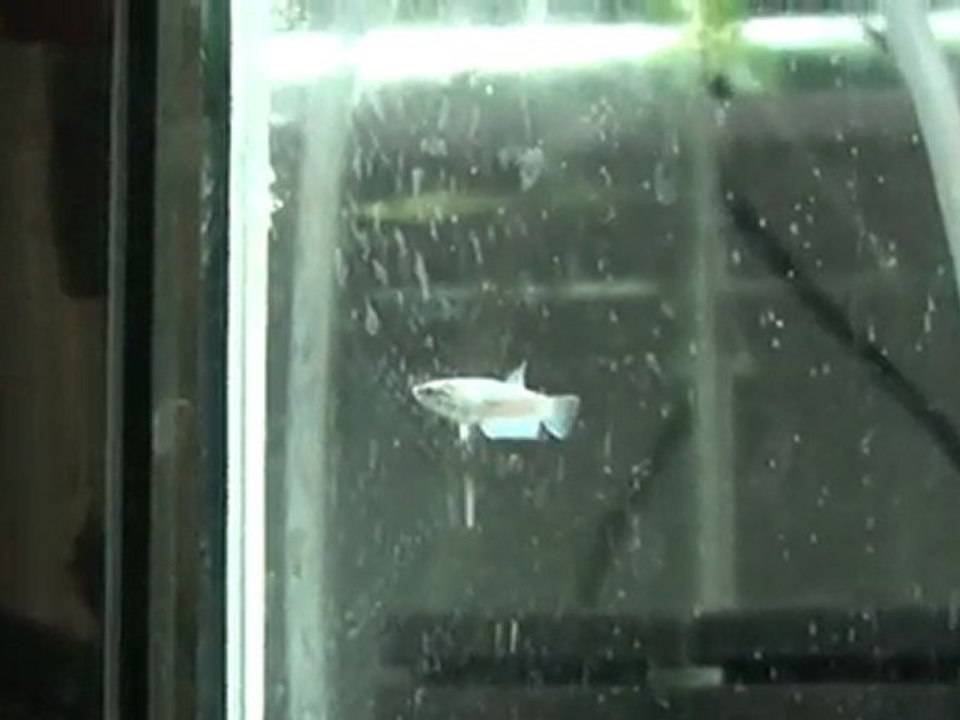 20110509174311