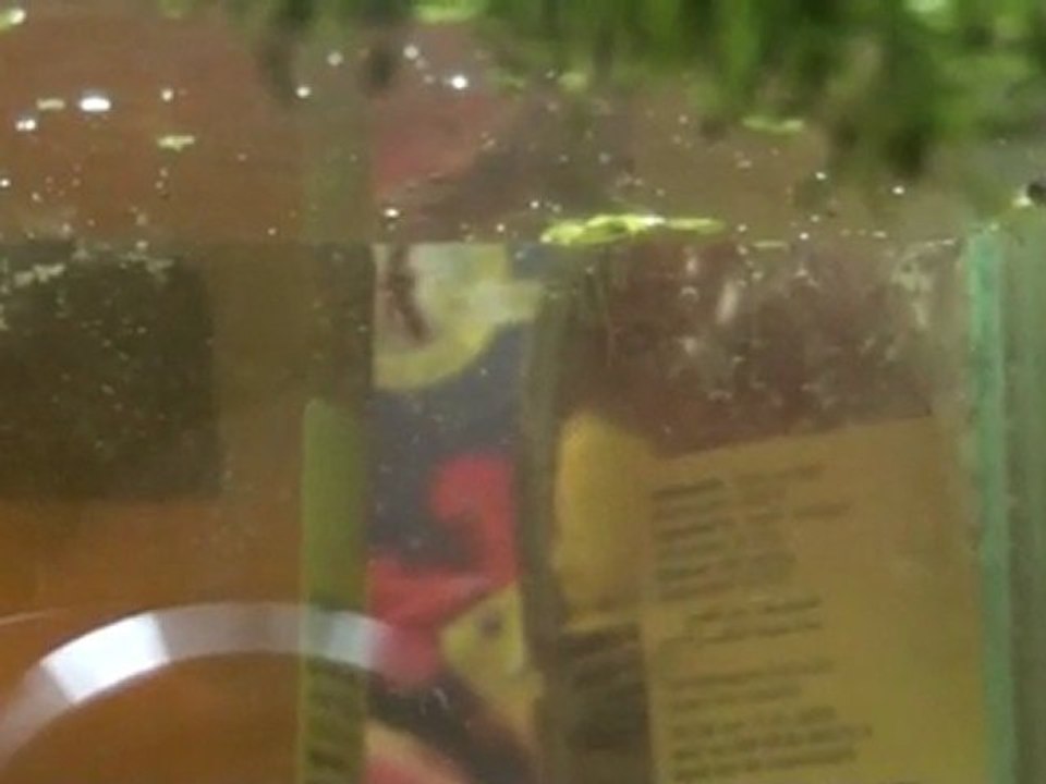 20110509173552