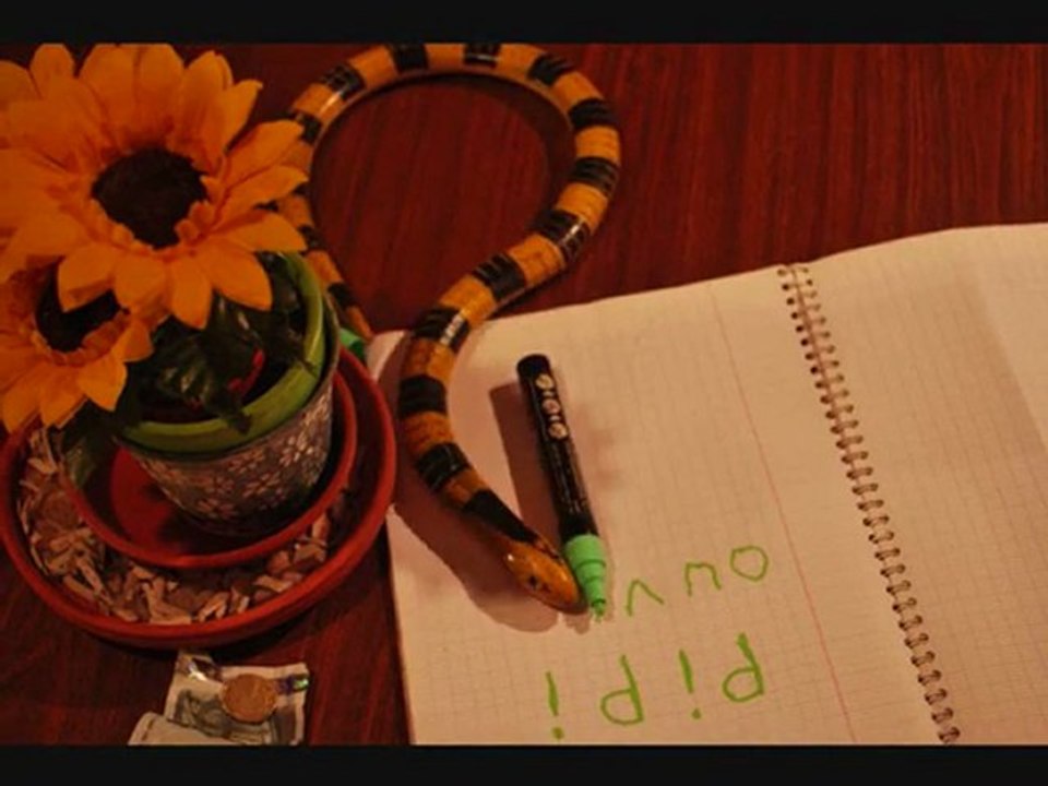 Serpent de minuit.