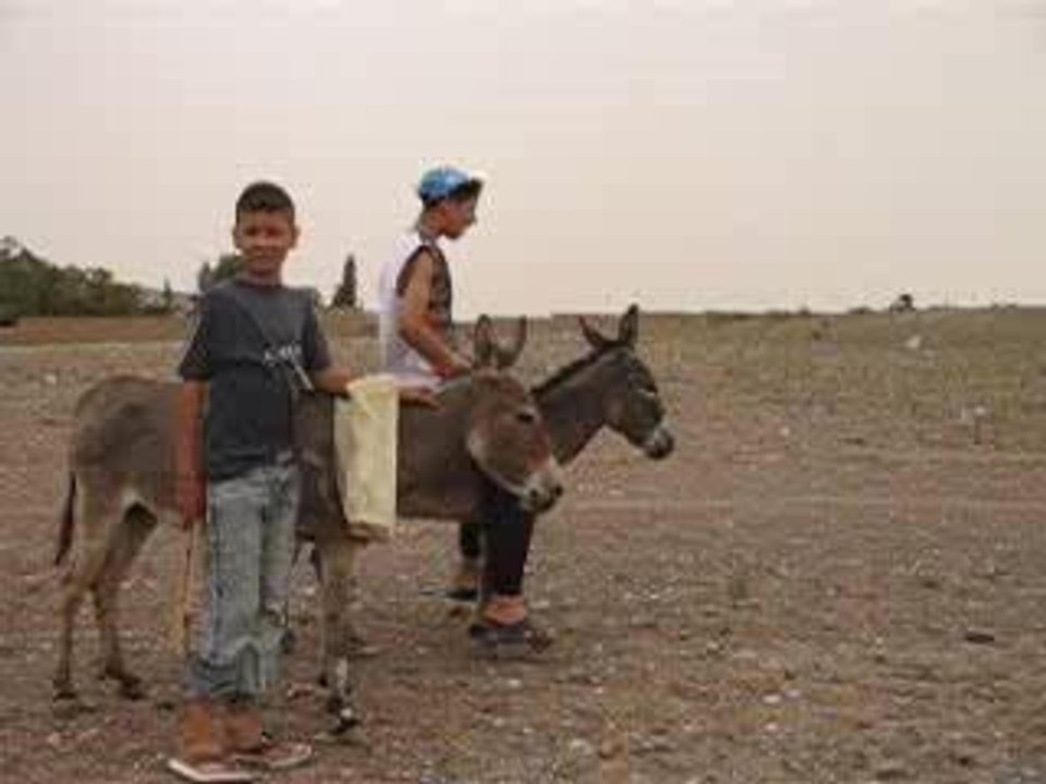 Photo 016