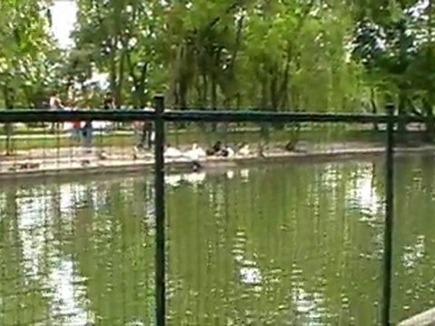 Park Alexandru Ioan Cuza - 21.Mai,2011.Part Three