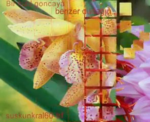 ♥ÇAĞDAŞ♥ Bir kızıl goncaya benzer dudağın ♥MஇM♥