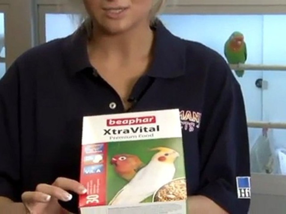 A Guide To The Lovebird