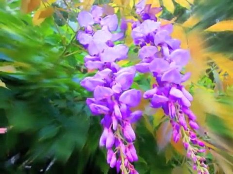 Ah bu şarkıların gözü kör olsun!-Emel Sayın