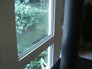 Houston Home Inspector: Stand Alone Fireplace Clearance