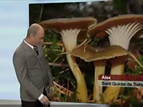 TV3 - Polònia - El temps, passat de voltes