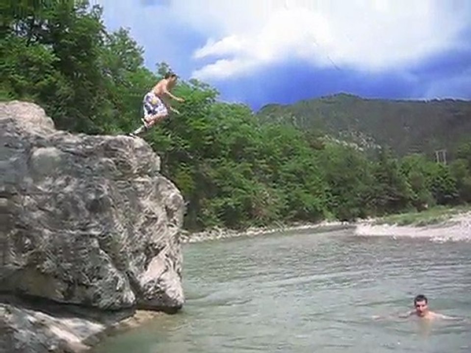 plongeon_1875