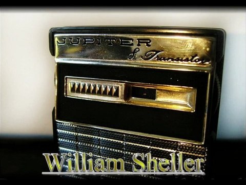 William Sheller-Dans un vieux rock'n'roll