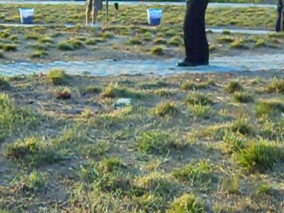 Atış