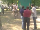 la foire aux anes en Dordogne