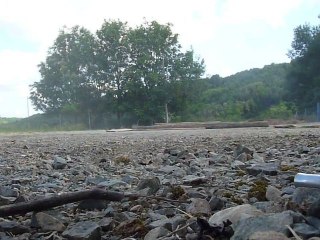 Savage Xss LRP Crash -- A voir sur www.pro-savage.fr