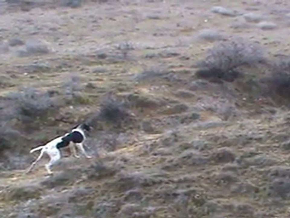 poyraz keklik ferma sonuç malesef manke