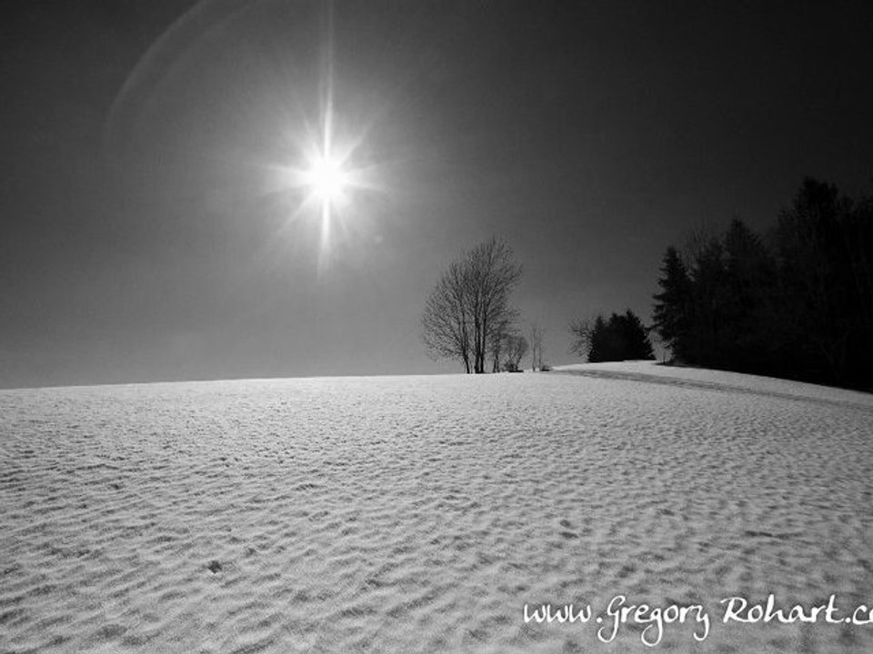 La Chartreuse en Noir & Blanc