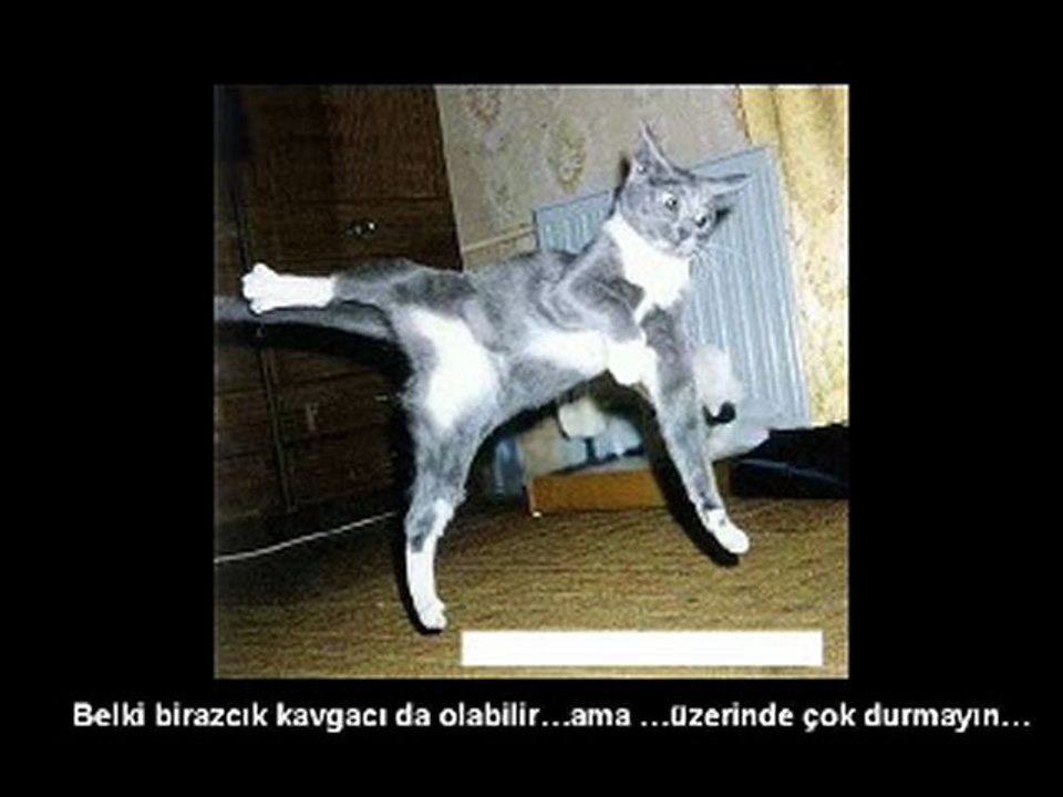 Sevgi uzerine