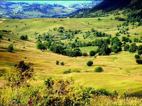 BİZİM YAYLALAR TANER KARATAŞ.