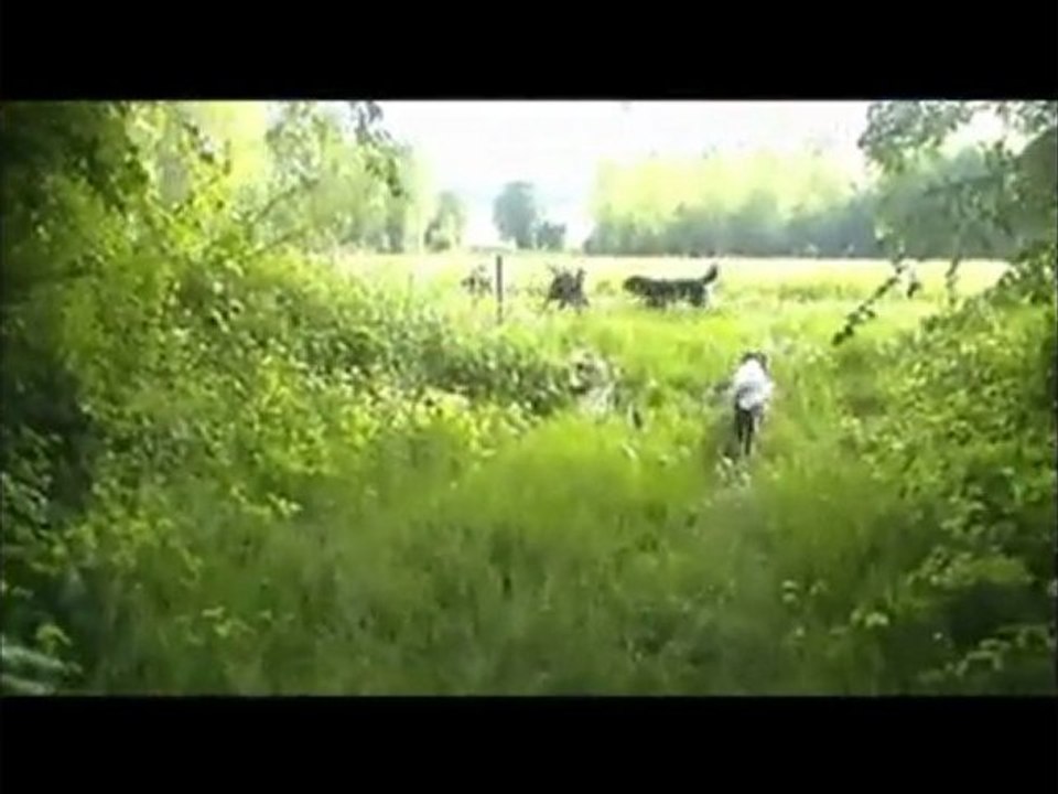 UN BAIN DANS LE RHONE PENDANT LA PROMENADE