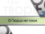 От Творца нет покоя