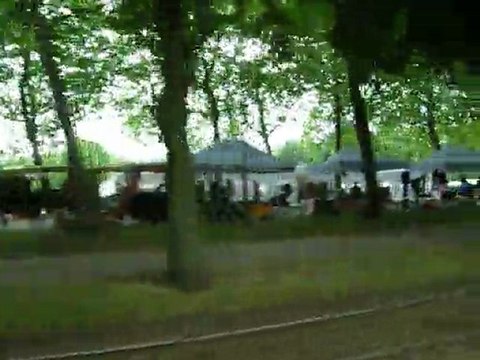 FESTIVITES AVENUE DE TERVUREN, BRUXELLES !