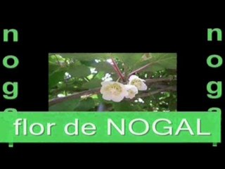 Intensivo de verano Asume Tu Poder