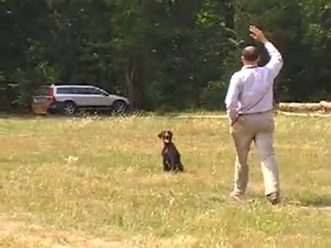 ASSIS A DISTANCE AU SIFFLET ET AU GESTE DU BRAS